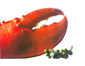 The Huynh De sea crab
